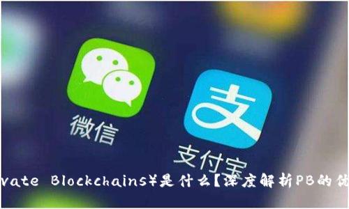 区块链PB（Private Blockchains）是什么？深度解析PB的优势与应用前景