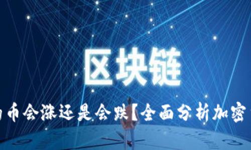 : TP钱包里的币会涨还是会跌?全面分析加密货币市场走势
