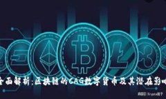 全面解析：区块链的CAG数