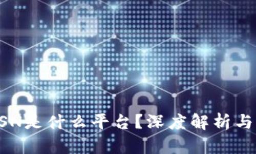 区块链BSN是什么平台?深度解析与应用前景