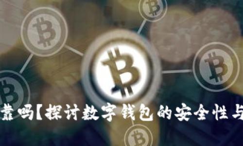 TP钱包可靠吗？探讨数字钱包的安全性与选择标准
