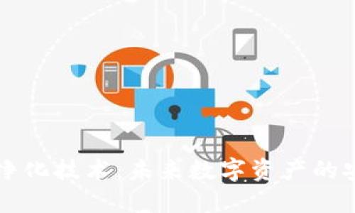 区块链净化技术：未来数字资产的安全保障