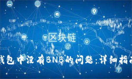 如何解决TP钱包中没有BNB的问题：详细指南与常见问答
