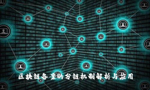 区块链备案的分链机制解析与应用