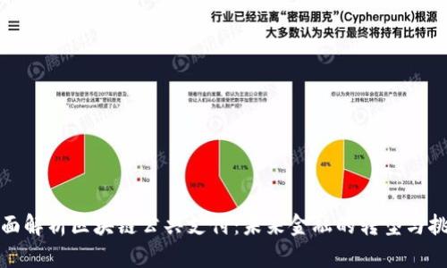 全面解析区块链公共支付：未来金融的转型与挑战