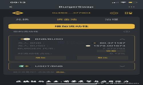 区块链的未来：前景展望与应用潜力