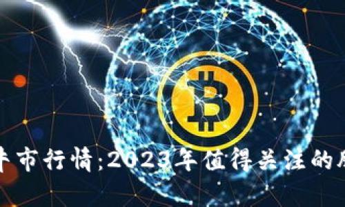 区块链牛市行情：2023年值得关注的股票代码