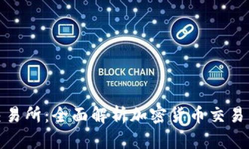 TP钱包交易所：全面解析加密货币交易与安全性