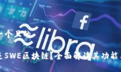 思考一个且的什么是SWE区