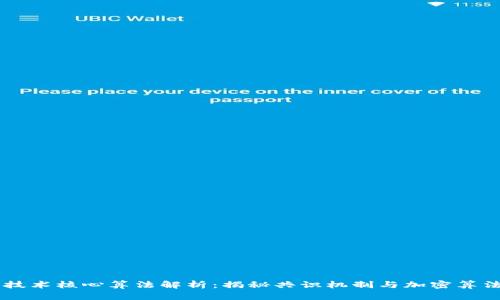 区块链技术核心算法解析：揭秘共识机制与加密算法的作用