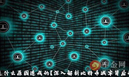 
区块链减半是什么原因造成的？深入解析比特币减半背后的机制与影响