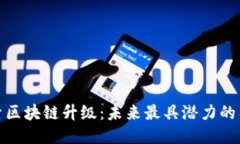 深入探索区块链升级：未