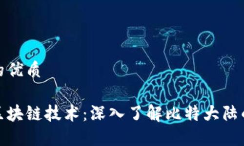 思考一个且的优质

比特大陆与区块链技术：深入了解比特大陆的创新与影响
