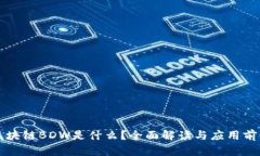 区块链BDW是什么？全面解