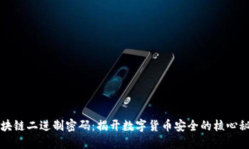 区块链二进制密码：揭开数字货币安全的核心秘密