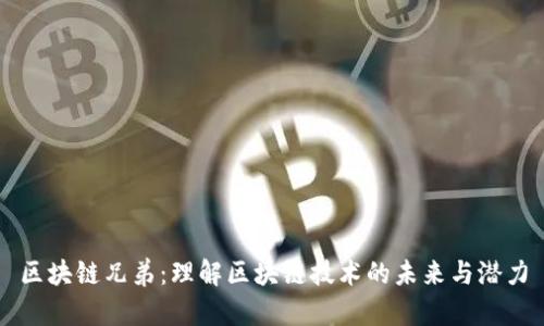 区块链兄弟：理解区块链技术的未来与潜力