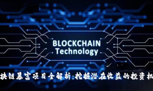 区块链暴富项目全解析：挖掘潜在收益的投资机遇