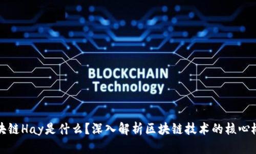 区块链Hay是什么？深入解析区块链技术的核心概念