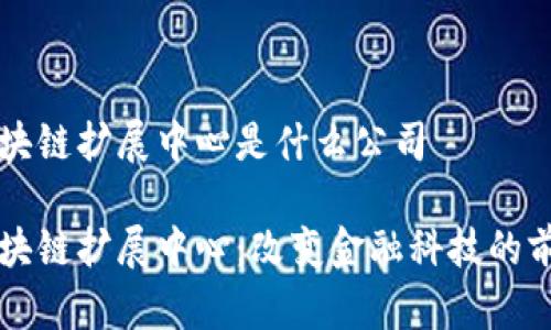 区块链扩展中心是什么公司

区块链扩展中心：改变金融科技的前沿