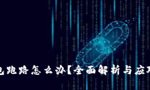 TP钱包跑路怎么办？全面解析与应对策略