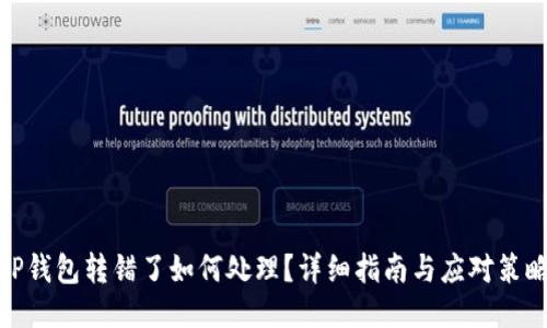 TP钱包转错了如何处理？详细指南与应对策略