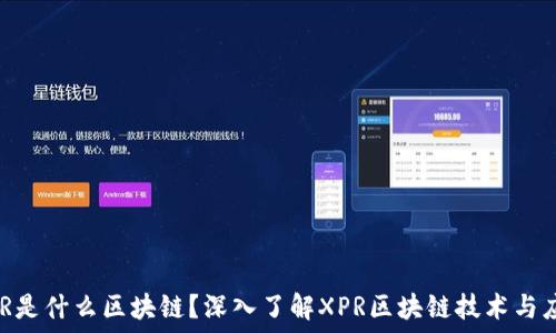   
XPR是什么区块链？深入了解XPR区块链技术与应用