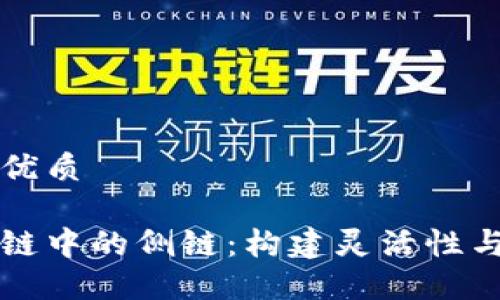 思考一个且的优质

深入了解区块链中的侧链：构建灵活性与安全性的桥梁