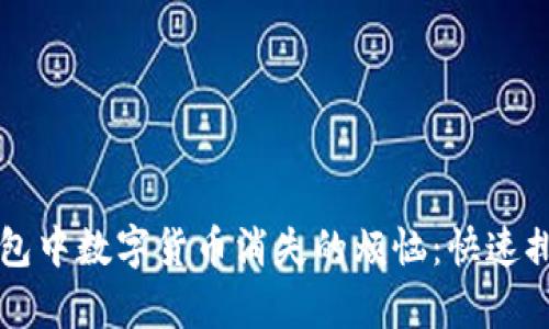 如何解决TP钱包中数字货币消失的烦恼：快速排查与恢复指南