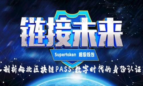 深入剖析向北区块链PASS：数字时代的身份认证新宠