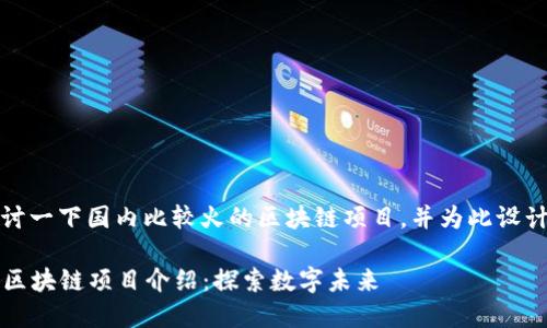 好的，让我们来深入探讨一下国内比较火的区块链项目，并为此设计一个合适的和关键词。

2023年最热门的国内区块链项目介绍：探索数字未来