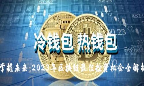 掌握未来：2023年区块链最佳投资机会全解析