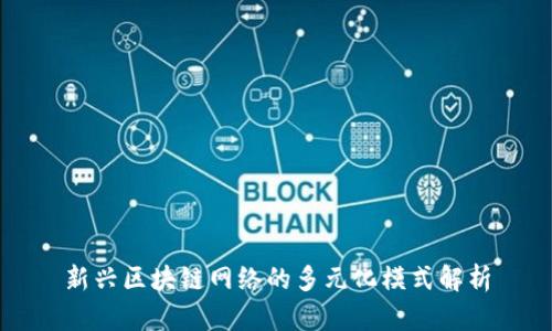 新兴区块链网络的多元化模式解析