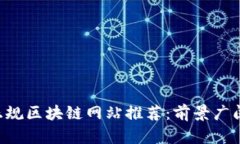 ### 中国正规区块链网站推