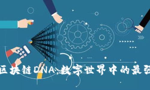 解密区块链DNA：数字世界中的最强密码