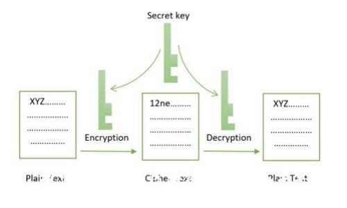 探索网上业务区块链的潜力与未来