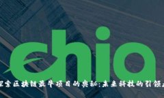 探索区块链最牛项目的奥