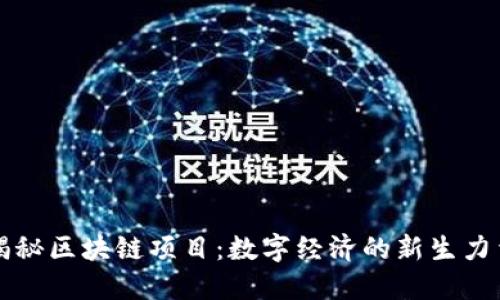 揭秘区块链项目：数字经济的新生力量
