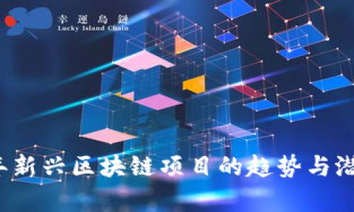 2023年新兴区块链项目的趋势与潜力分析