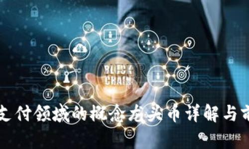 区块链支付领域的概念龙头币详解与前景分析