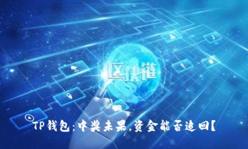TP钱包：中奖未果，资金能否追回？
