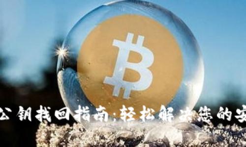 tP钱包公钥找回指南：轻松解决您的安全疑虑