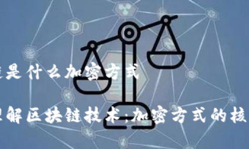 区块链是什么加密方式

深入理解区块链技术：加密方式的核心解析