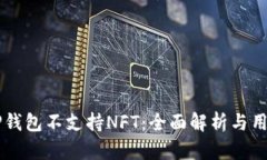为何TP钱包不支持NFT：全面
