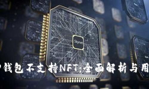为何TP钱包不支持NFT：全面解析与用户指南