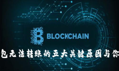 揭秘：T P钱包无法转账的五大关键原因与你的解决方案