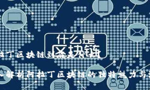 阿拉丁区块链到底是什么？

深入解析阿拉丁区块链的独特魅力与潜力