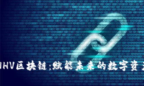 深入解析NHV区块链：赋能未来的数字资产生态系统