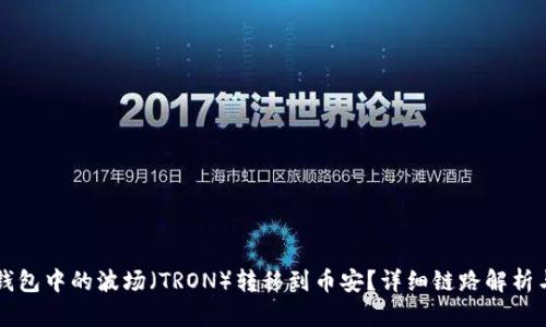 如何将TP钱包中的波场（TRON）转移到币安？详细链路解析与实用指南