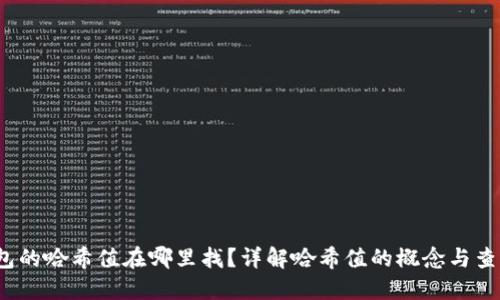 :tP钱包的哈希值在哪里找？详解哈希值的概念与查询方式