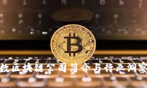 数区块链公司简介与行业洞察
